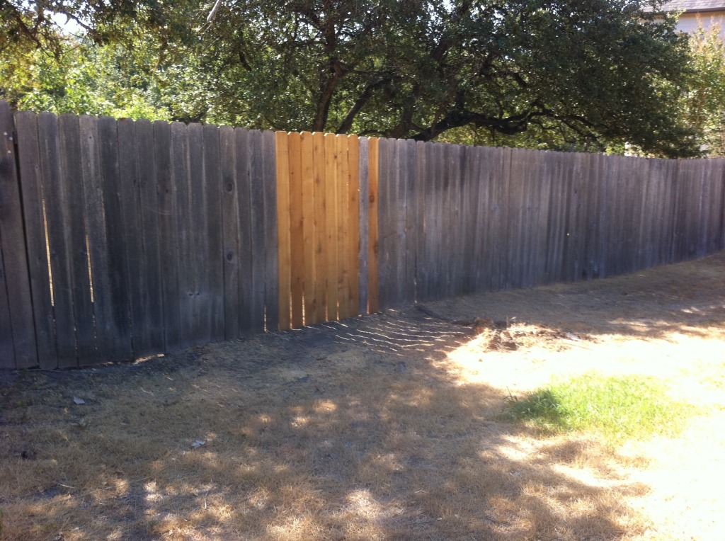 2011-09-24-6607 Conifer Cove-33.jpg